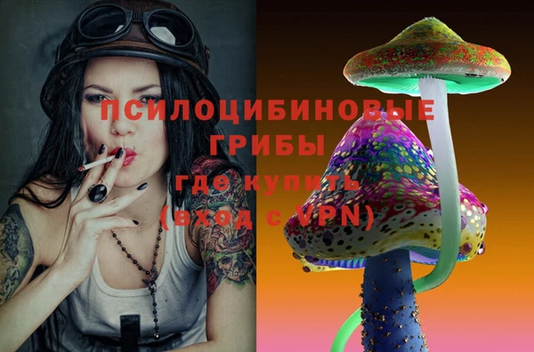 твердый Алексеевка