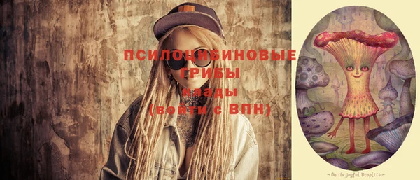 твердый Алексеевка