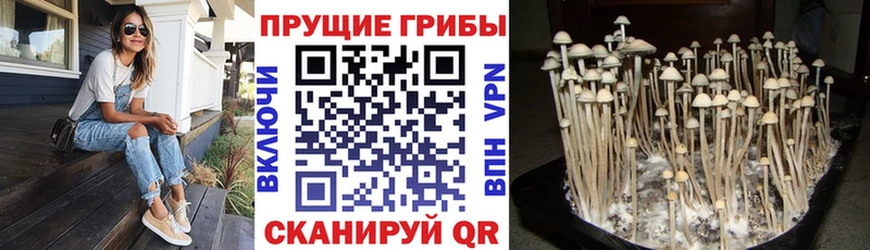 Псилоцибиновые грибы MAGIC MUSHROOMS  хочу наркоту  Нефтекамск 