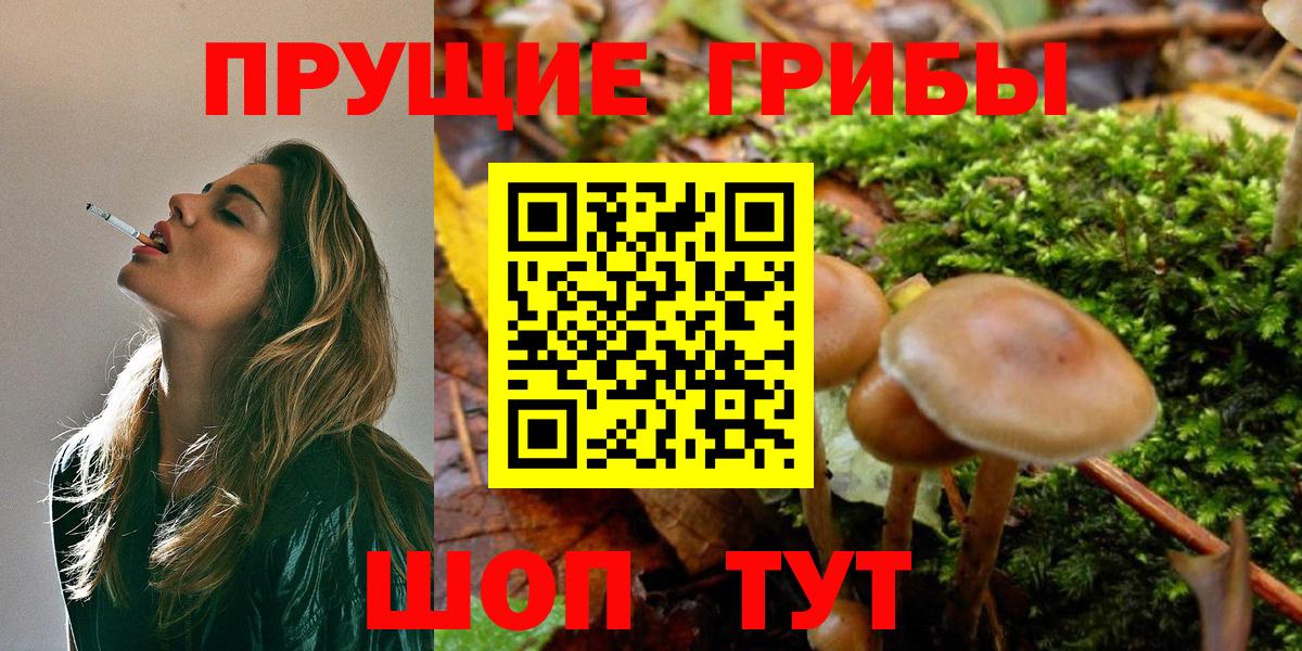 Псилоцибиновые грибы MAGIC MUSHROOMS  Вход с VPN  Нефтекамск 